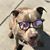 Brent Burden's profile image
