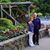 Janet Collins Phipps's profile image
