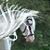 Silencio Quieto de Luneta's profile image
