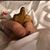 Kylie Burr Morrison's profile image