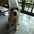 John Balasingam's profile image