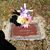 Alicia Ann Ortloff's profile image