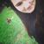 Sarah Hook's profile image
