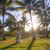 Annie Harnish's profile image