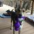 Susan Phillips Morton's profile image