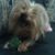 Linda Hall's profile image