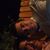 Ave DE Paso's profile image