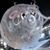 Edward Dallenbach's profile image