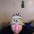 Luis Macias's profile image