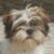 Marilyn Metaxa's profile image