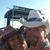 Jeri Schmitz-Bailey's profile image
