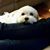 Knine Kimberly's profile image