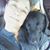 Annette Cronan's profile image