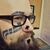 Tommy Mocek's profile image