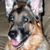 Kathy Uzarski Casertano's profile image