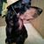 Joan Eckersen's profile image