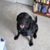 Jo Ann Nielsen's profile image
