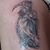 Yasmin Nicool Lopez's profile image