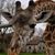 Debbie O'Brien McGinn's profile image