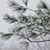 Ann Beth Wiegand's profile image