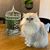 Roxanne Blonde's profile image