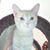 Janice Ray Cheney Earwood's profile image