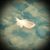 Sarah Herrington's profile image