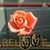 Carol Giddens's profile image