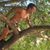 Avichay Grafi's profile image