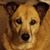 Marcia Henson's profile image
