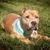Ashley Burgess Gabriel's profile image