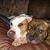 Jodi Yopconka-Moyer's profile image