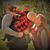 Amy Ann Cox's profile image