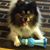 Margaret Kneece's profile image