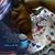 Anna Marie Duncan's profile image