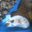 Tiffany Bickley's profile image