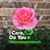 Lisa Winford Schmitz's profile image