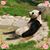 Peggy Martin's profile image