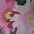Lee Ann Miles Cogar's profile image