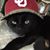 Red Messenger's profile image