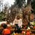 Shelley Turpin's profile image