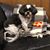 Bobbie Pepper's profile image