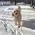 Amy Johnson Thiex's profile image