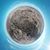Kerry Garrison's profile image