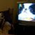 Nancy Cesario's profile image