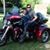 Tracy Teed's profile image