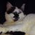 Jill Croan's profile image