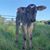 Eric Genneken's profile image