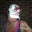 Tmunni's profile image
