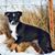 Renee Newcomb's profile image
